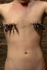 Nipple Clamps