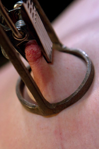 Nipple Clamps