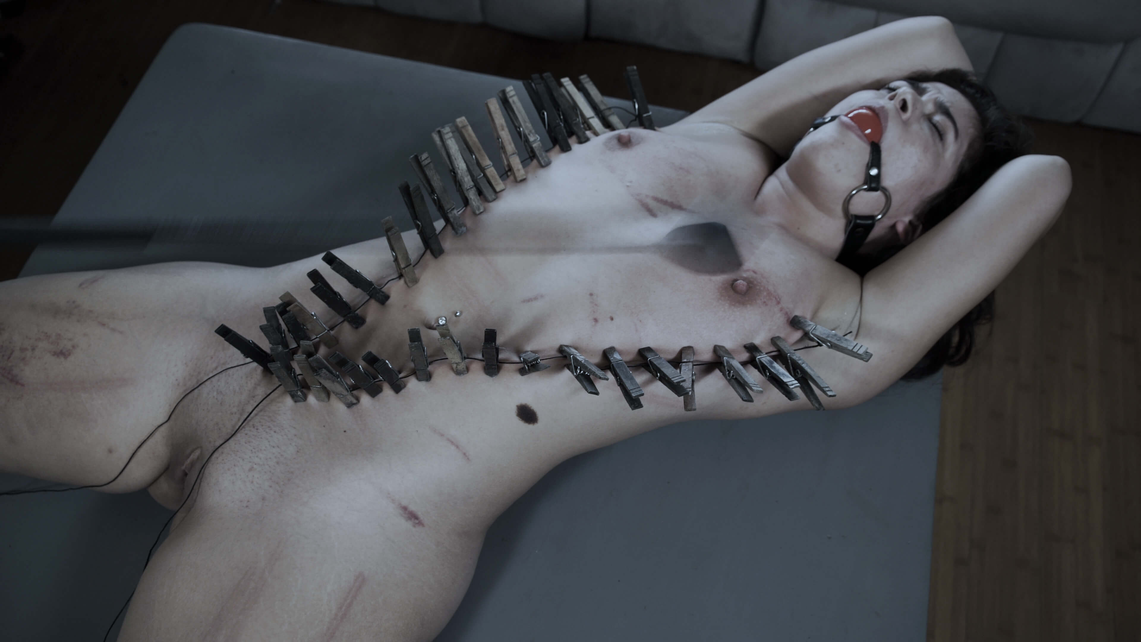 Photo number 25 on Diary of a Madman Series. Hardcore BDSM & Fetish porn.