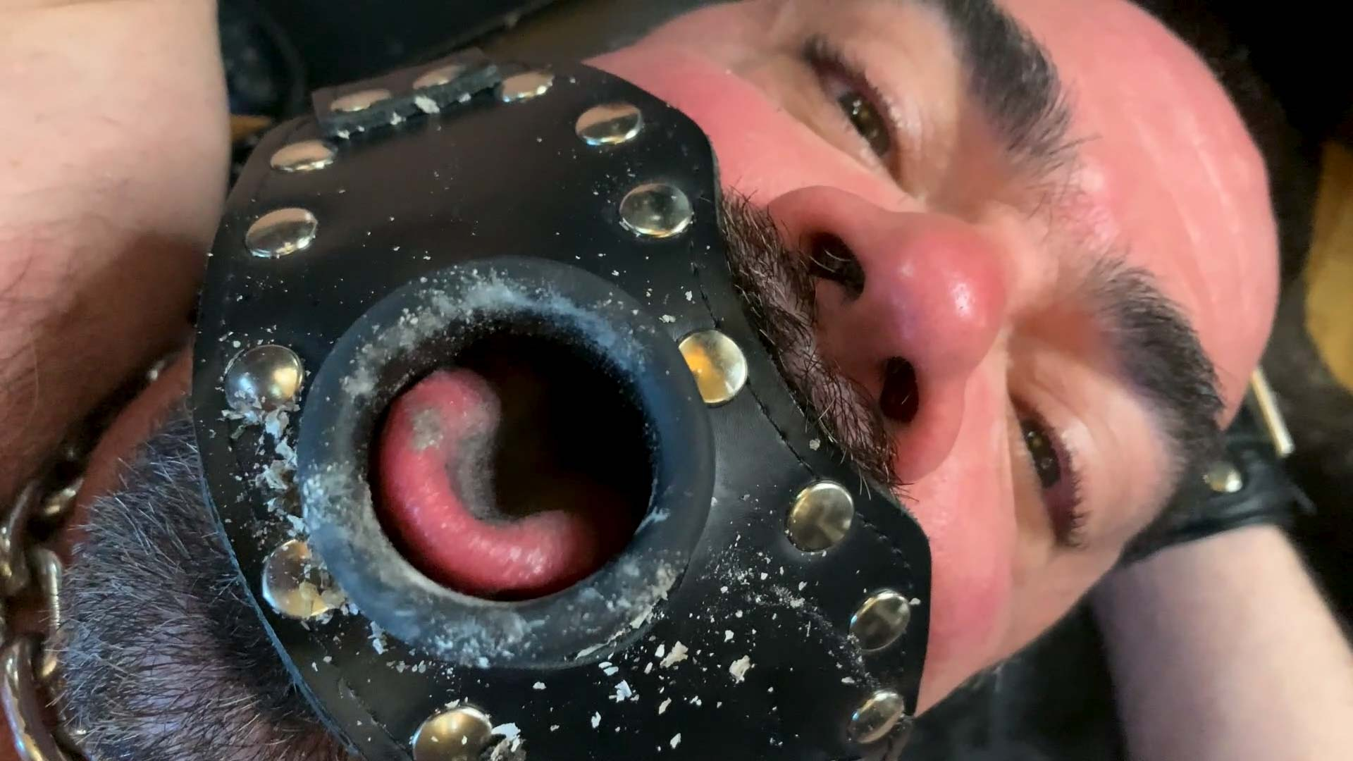 Photo number 20 from Mr. Kristofer's Ashtray shot for Kinky Bites Men on Kink.com. Featuring Kristofer Weston and Dolan Wolf in hardcore BDSM & Fetish porn.