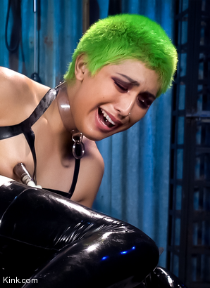 Pixi Lust BDSM - Other Hair Color