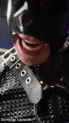 Roderick Grey BDSM - Brunet