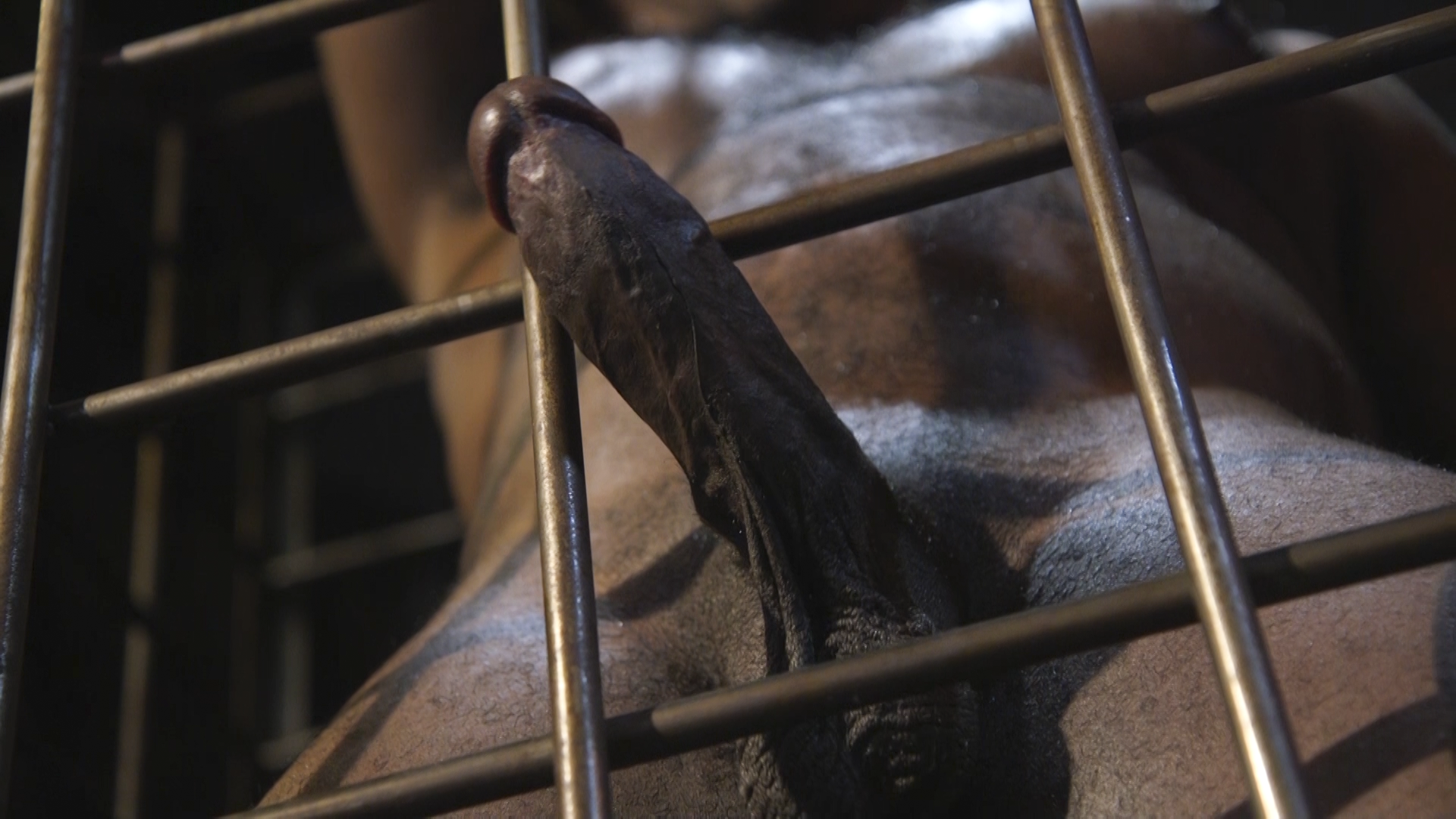 Photo number 1 from Savage Cock: Dale Savage Torments and Fucks Micah Martinez - RAW shot for Kinky Bites Men on Kink.com. Featuring Micah Martinez and Dale Savage in hardcore BDSM & Fetish porn.