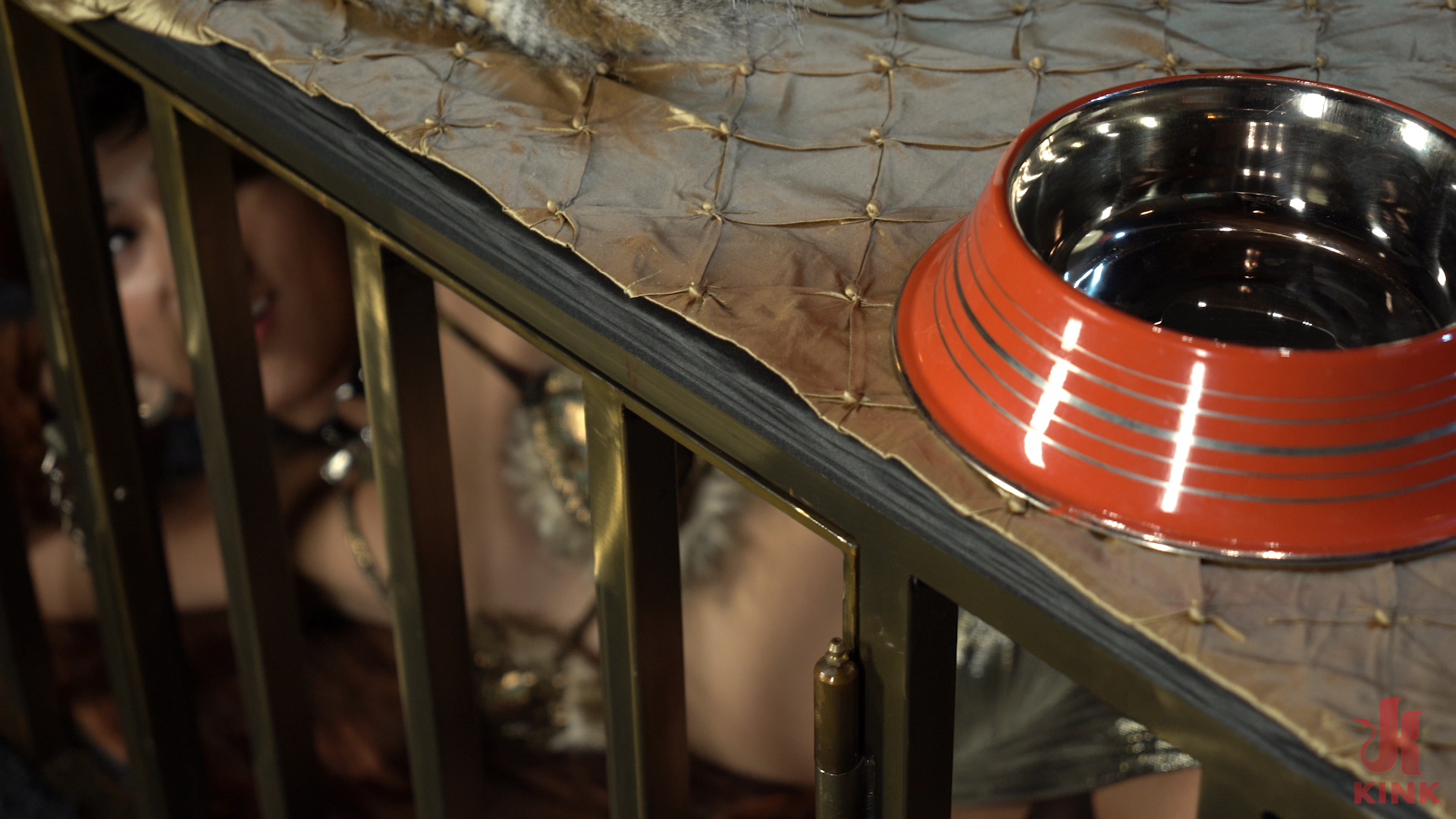 Photo number 1 from Metamorphosis shot for Kink Trans on Kink.com. Featuring Pixi Lust and Draven Navarro in hardcore BDSM & Fetish porn.