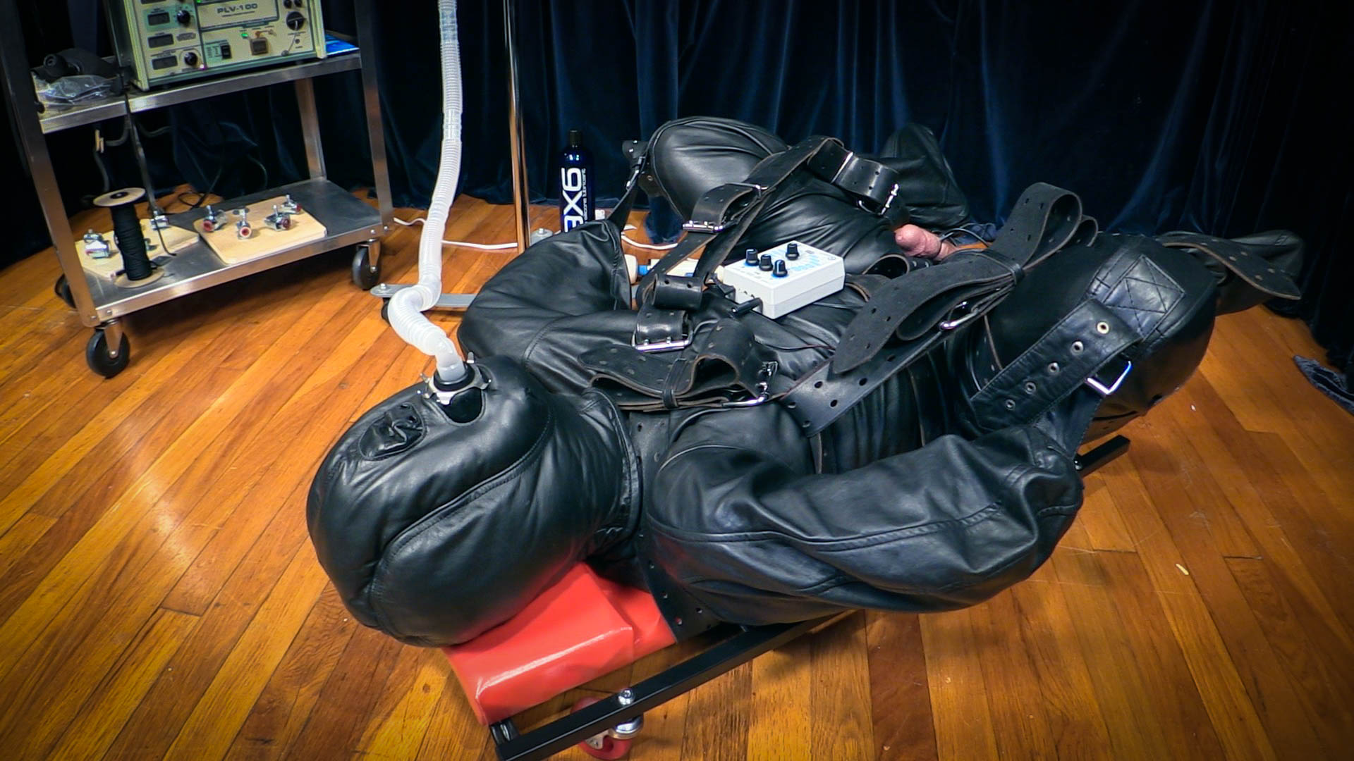 Photo number 3 from You are Not in Control shot for Bondage Liberation on Kink.com. Featuring Elise Graves and LustKinkySteve in hardcore BDSM & Fetish porn.