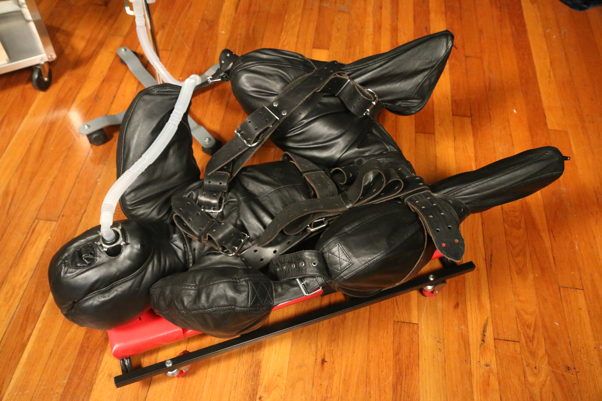 Photo number 12 from You are Not in Control shot for Bondage Liberation on Kink.com. Featuring Elise Graves and LustKinkySteve in hardcore BDSM & Fetish porn.