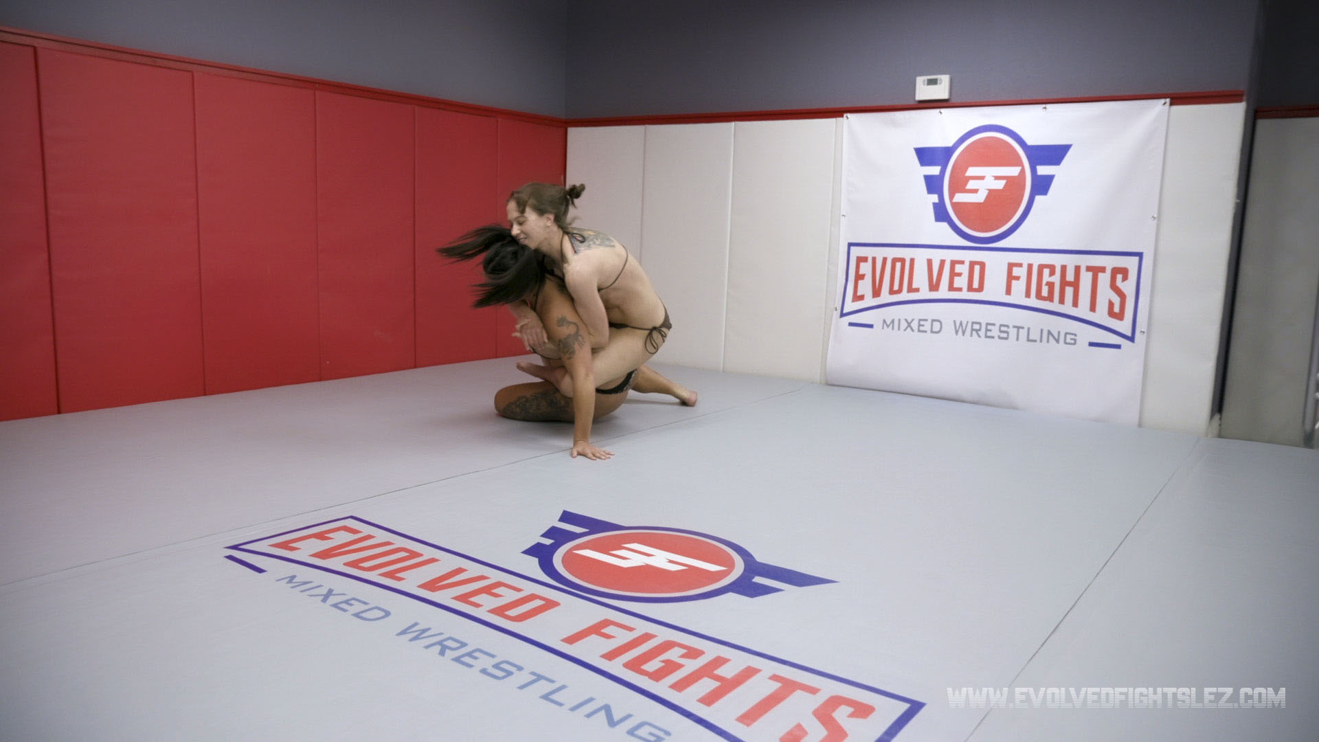 Photo number 16 from Tournament: Semi-Finals 1 - Miss Demeanor vs Cheyenne Jewel shot for Evolved Fights Lesbian Edition on Kink.com. Featuring Miss Demeanor and Cheyenne Jewel in hardcore BDSM & Fetish porn.