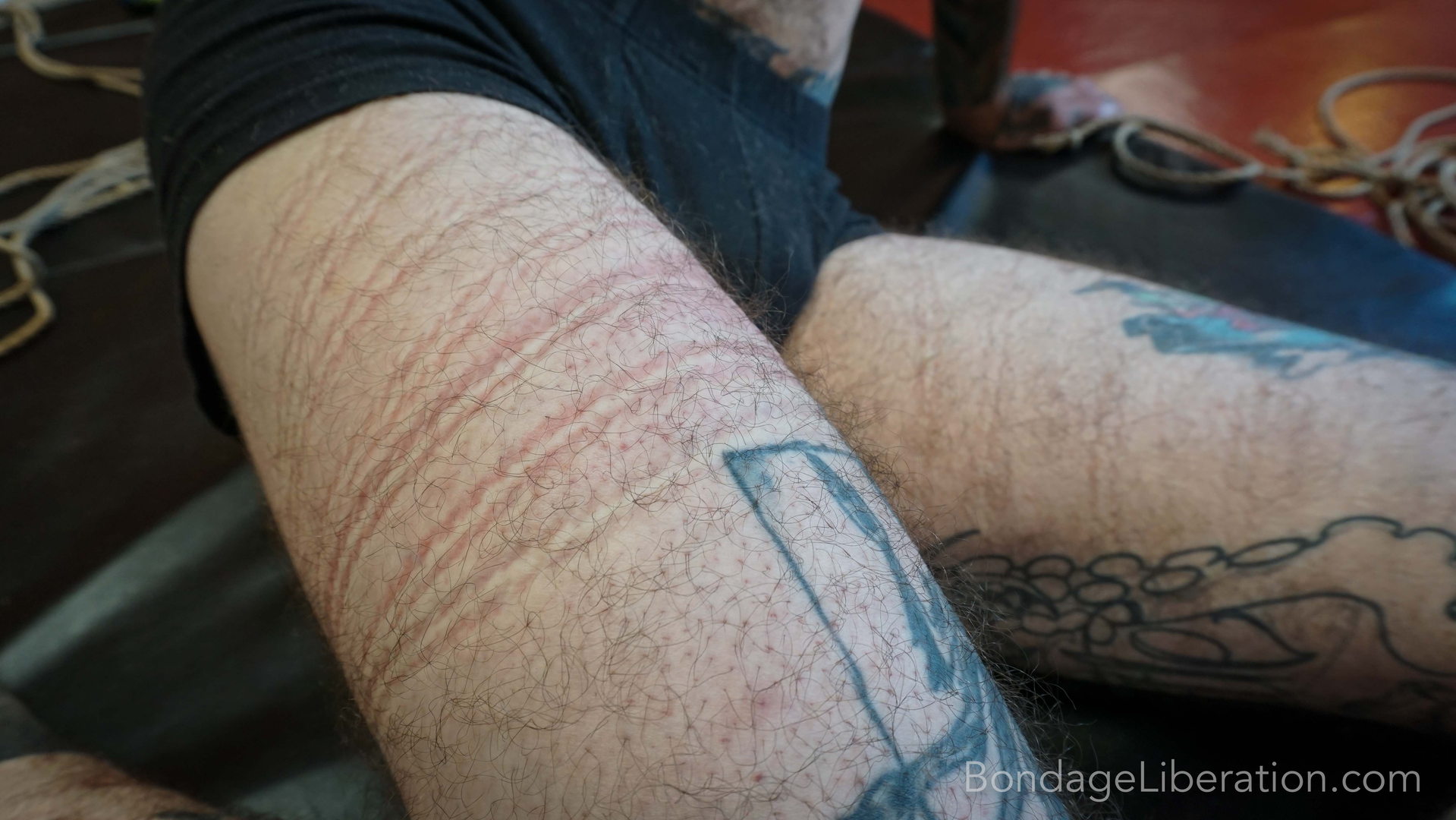 Photo number 1 from Suspend Disbelief shot for Bondage Liberation on Kink.com. Featuring Elise Graves and Ruckus in hardcore BDSM & Fetish porn.