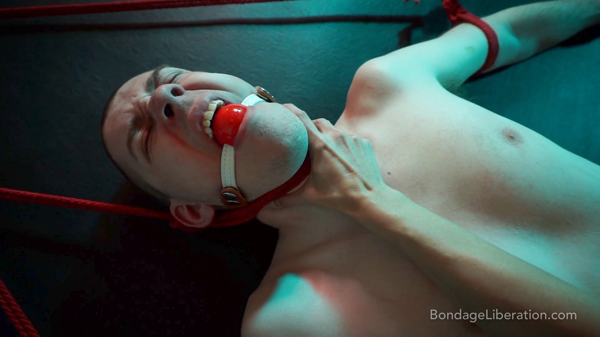 Photo number 1 from Poke Fun shot for Bondage Liberation on Kink.com. Featuring Elise Graves and Dart_Tech in hardcore BDSM & Fetish porn.