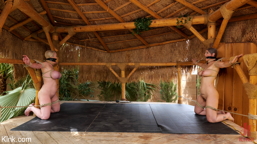 Photo number 1 from The Last Resort: Dee Williams and Syren de Mer shot for Kink Features on Kink.com. Featuring Dee Williams, Syren de Mer and Matt Williams in hardcore BDSM & Fetish porn.