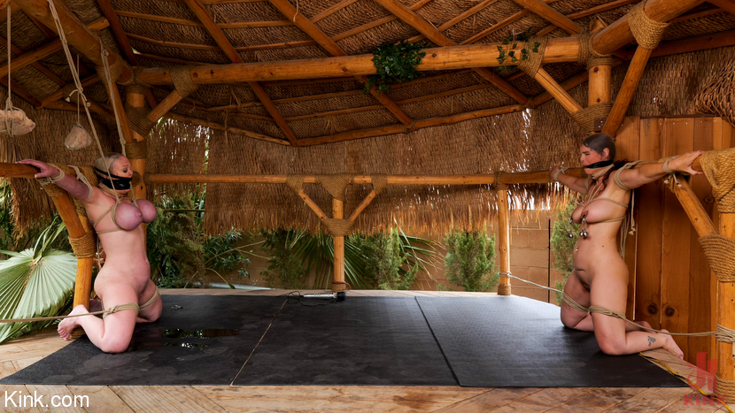 Photo number 1 from The Last Resort: Dee Williams and Syren de Mer shot for Kink Features on Kink.com. Featuring Dee Williams, Syren de Mer and Matt Williams in hardcore BDSM & Fetish porn.