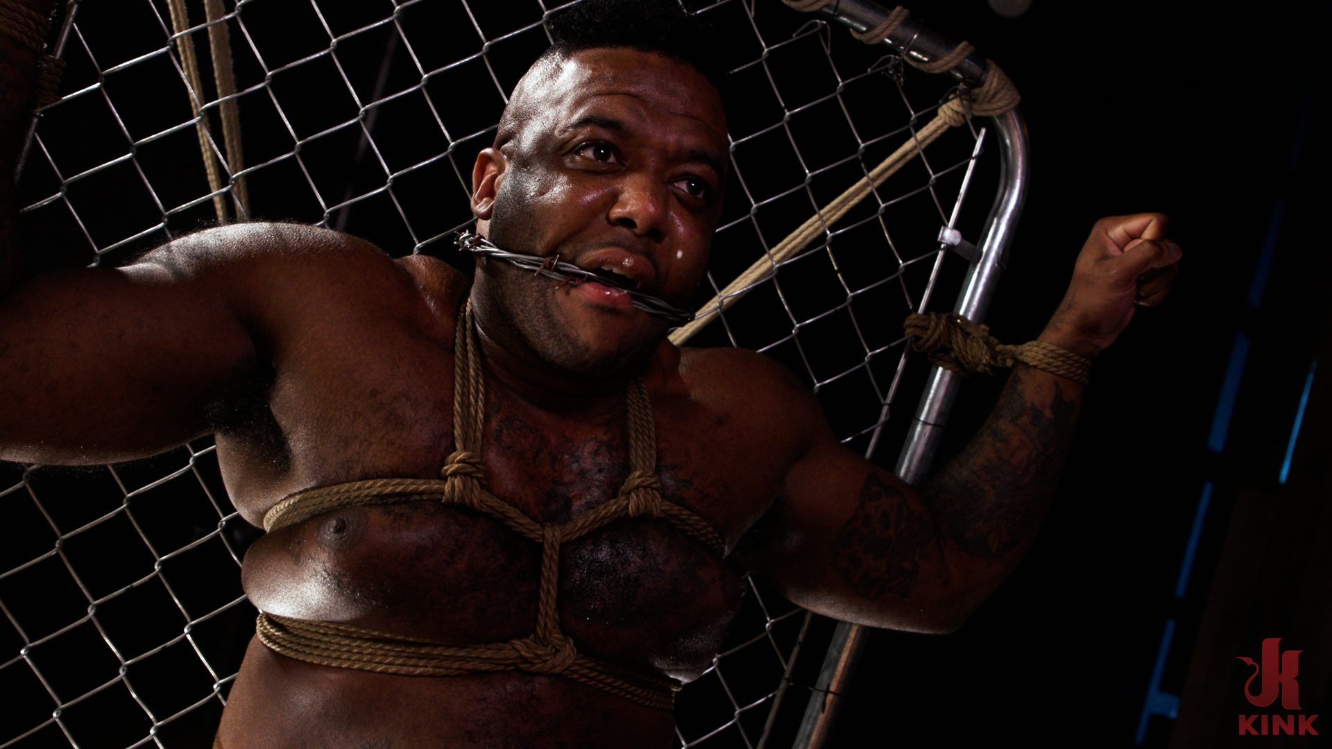 Photo number 4 from On the Fence: Sophia Locke and Micah Martinez shot for Divine Bitches on Kink.com. Featuring Micah Martinez and Sophia Locke in hardcore BDSM & Fetish porn.