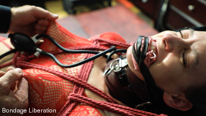 Photo number 1 from Under the Pump shot for Bondage Liberation on Kink.com. Featuring Damon Pierce and Elise Graves in hardcore BDSM & Fetish porn.