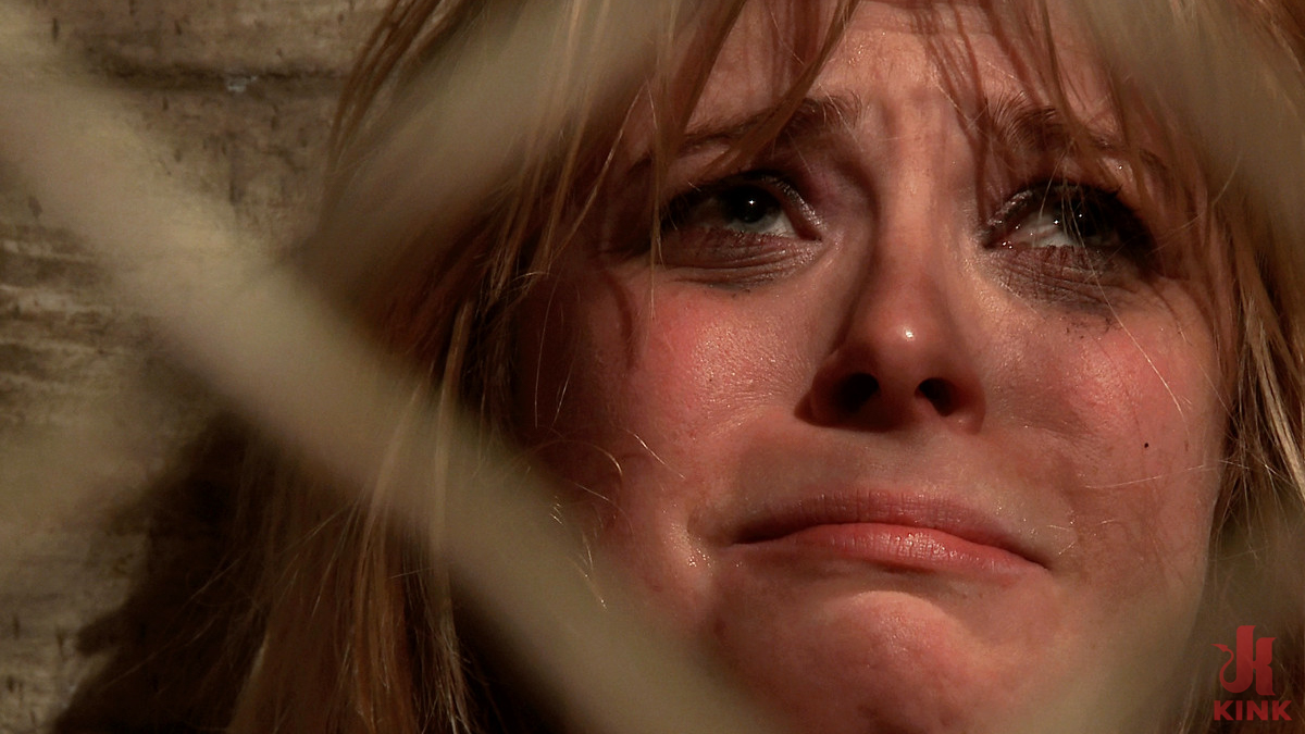 Photo number 62 from Poor Little American Girl Trapped and Gang Banged shot for Bound Gang Bangs on Kink.com. Featuring Penny Pax, Ramon Nomar, Karlo Karrera, Toni Ribas, Marco Banderas and Alex Gonz in hardcore BDSM & Fetish porn.