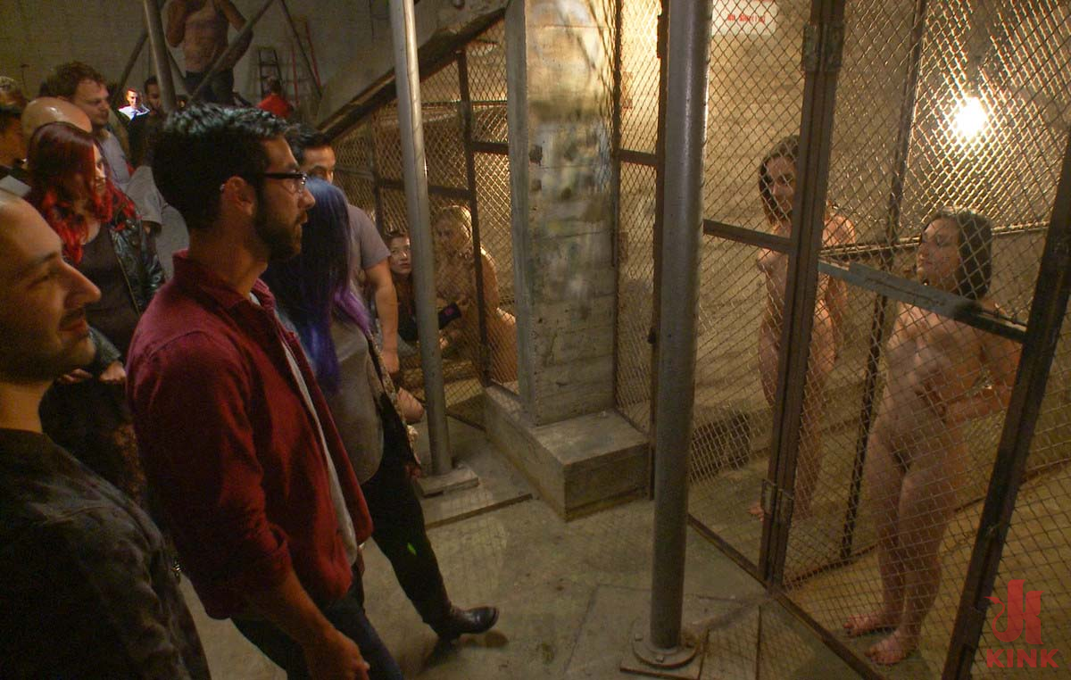 Photo number 1 from Ass Pounding Orgy With 4 Hot Sluts shot for Kink Classics on Kink.com. Featuring Roxanne Rae, Tommy Pistol and Princess Donna Dolore in hardcore BDSM & Fetish porn.