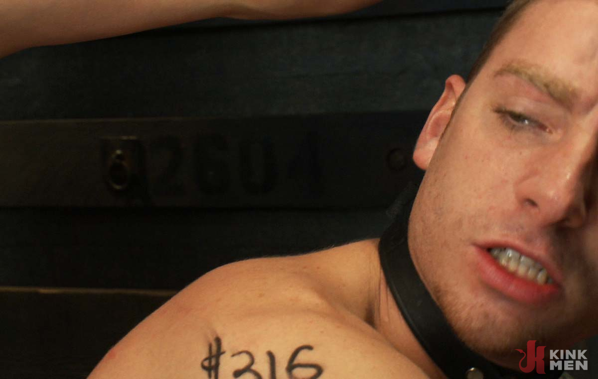 Photo number 355 from Please Let Me Take His Pain, Sir shot for KinkMen Classics on Kink.com. Featuring Kieron Ryan, Master Avery, Sebastian Keys and Van Darkholme in hardcore BDSM & Fetish porn.