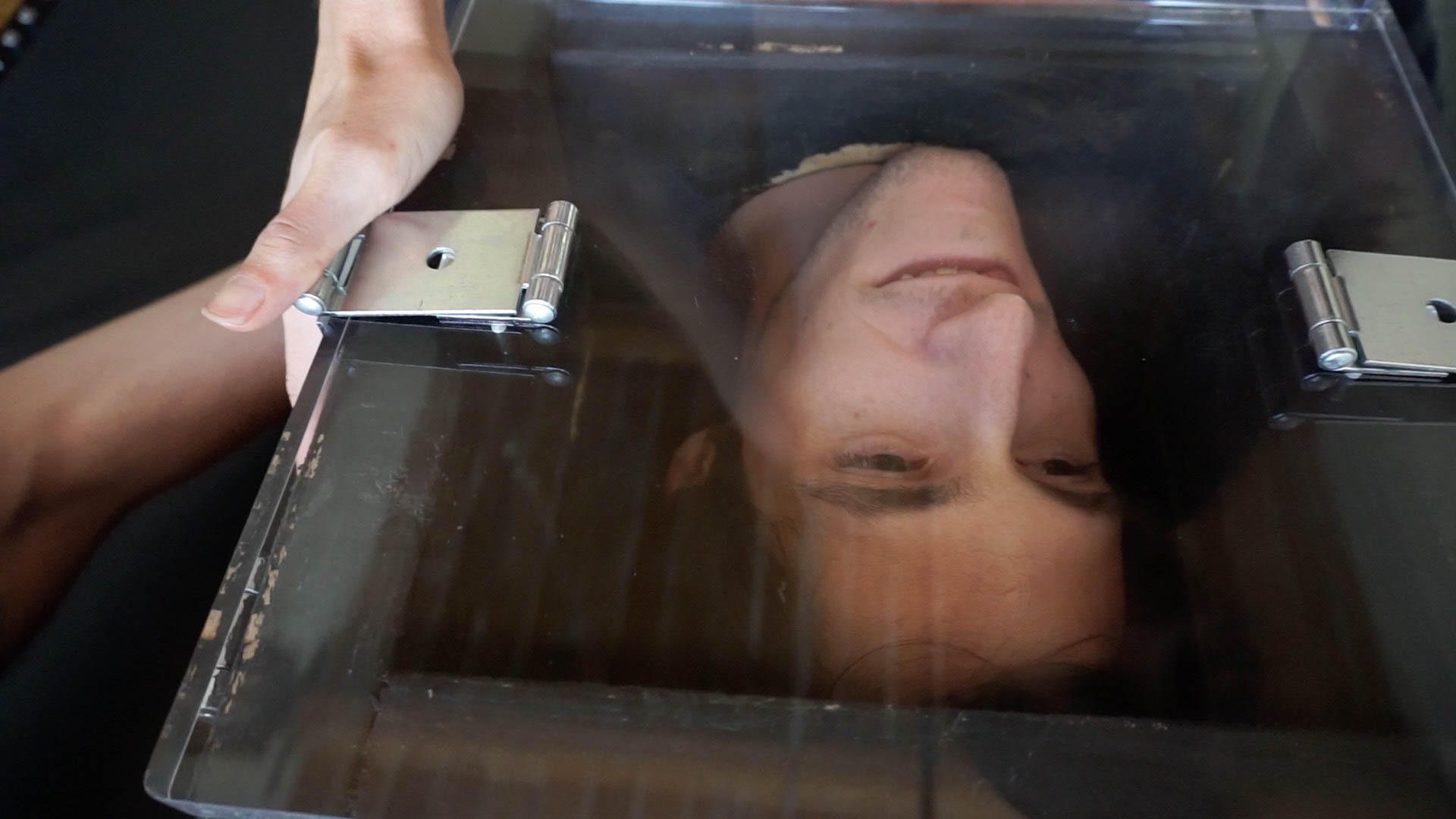 Photo number 1 from Trapped in a Tease Box shot for Bondage Liberation on Kink.com. Featuring Elise Graves and Tony Orlando in hardcore BDSM & Fetish porn.