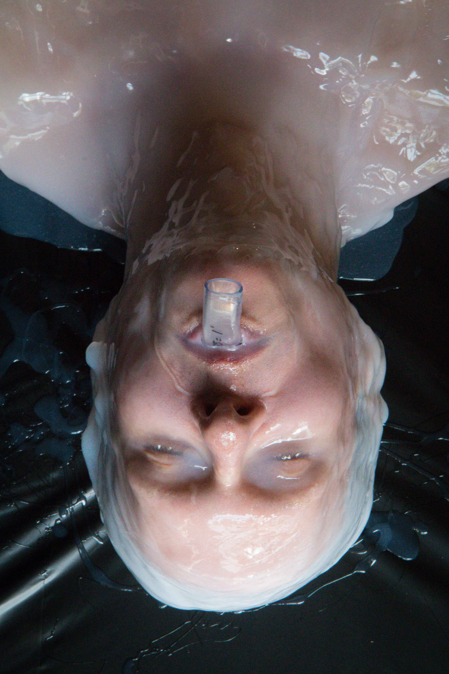 Photo number 26 from Silicone Encasement: Part One shot for Bondage Liberation on Kink.com. Featuring Elise Graves, Strange Hobbies and Serious Bondage Mark in hardcore BDSM & Fetish porn.