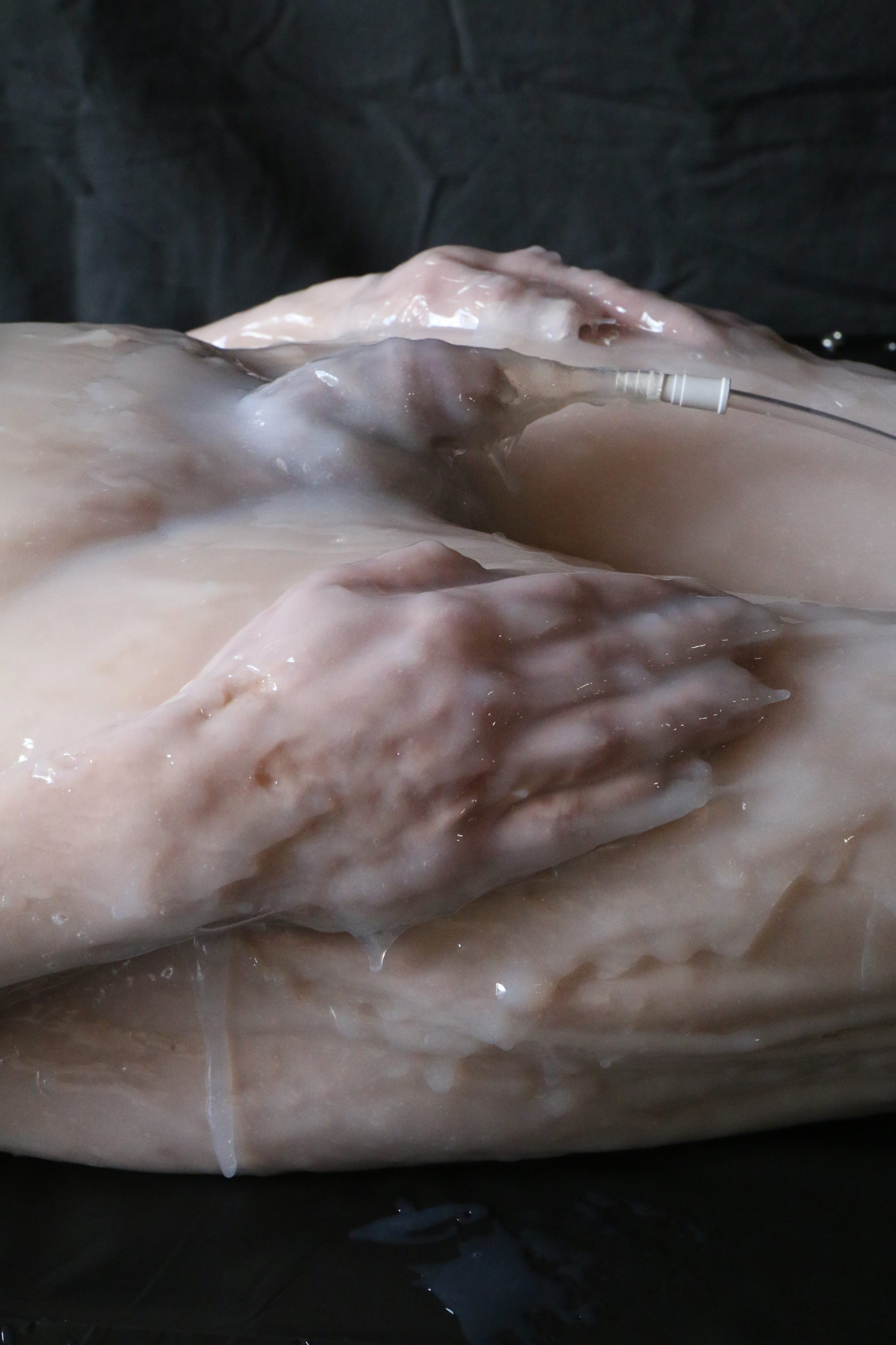 Photo number 51 from Silicone Encasement: Part Two shot for Bondage Liberation on Kink.com. Featuring Strange Hobbies, Elise Graves, Serious Bondage Mark and Petgirl Kako in hardcore BDSM & Fetish porn.