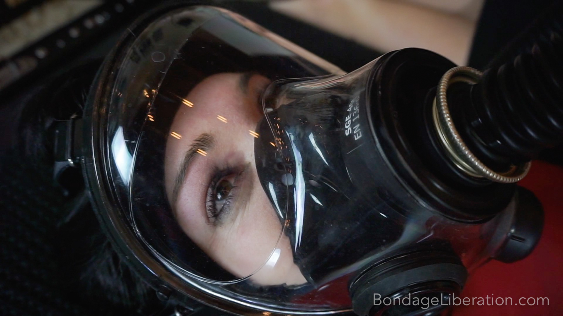 Photo number 13 from Vacuum Sack Breath Control shot for Bondage Liberation on Kink.com. Featuring Elise Graves and Lita Lecherous in hardcore BDSM & Fetish porn.