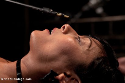 Photo number 8 from Bangin' Brunette Broad - shot for Device Bondage on Kink.com. Featuring Beretta James in hardcore BDSM & Fetish porn.