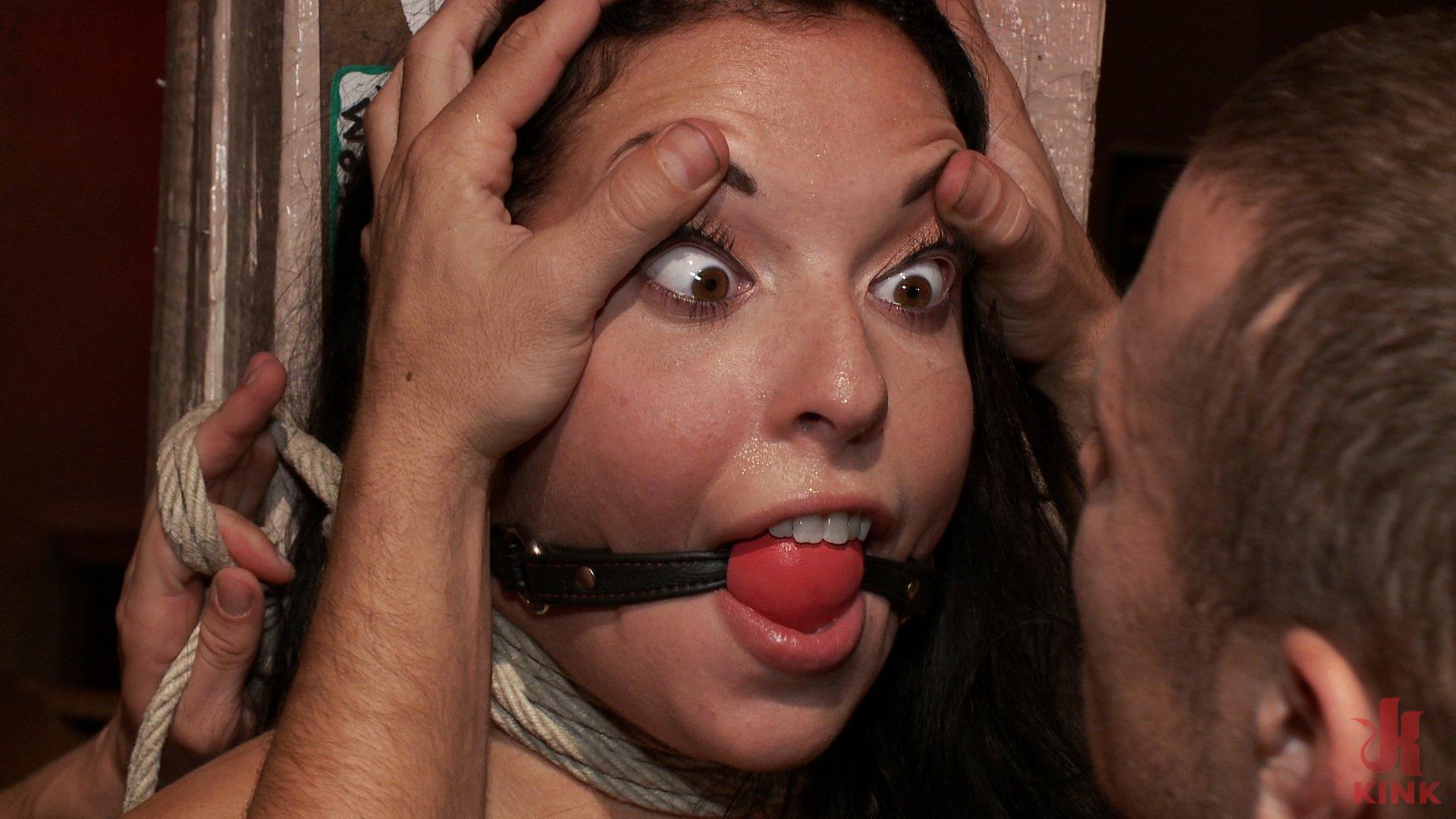 Photo number 1 from Beauty in the Bar shot for Public Disgrace on Kink.com. Featuring Mr. Pete, Aria Aspen and Princess Donna Dolore in hardcore BDSM & Fetish porn.