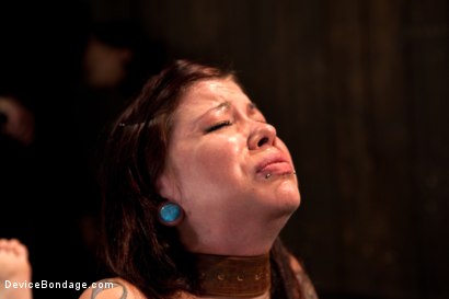 Photo number 3 from Intense Bondage Induces Severe and Electric Orgasms shot for Device Bondage on Kink.com. Featuring Krysta Kaos in hardcore BDSM & Fetish porn.