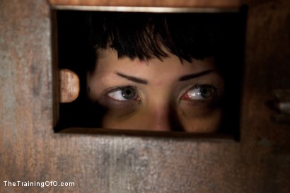 Photo number 15 from Ultimate Obedience: Heights, Drowning, and the Dark shot for The Training Of O on Kink.com. Featuring Asphyxia Noir in hardcore BDSM & Fetish porn.