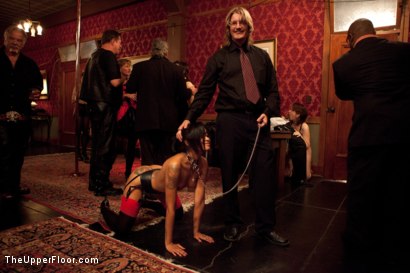 Photo number 12 from Pre-Folsom Party: part two shot for The Upper Floor on Kink.com. Featuring Asphyxia Noir, Skin Diamond, Krysta Kaos, Iona Grace, Nerine Mechanique and Pink Suga in hardcore BDSM & Fetish porn.