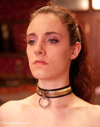 Photo number 21 from Pre-Folsom Party: part two shot for The Upper Floor on Kink.com. Featuring Asphyxia Noir, Skin Diamond, Krysta Kaos, Iona Grace, Nerine Mechanique and Pink Suga in hardcore BDSM & Fetish porn.