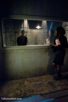 Photo number 0 from Classic Shoot: Ts Sasha Strokes & her TEN inches of Law and Order shot for Kink Trans on Kink.com. Featuring Sasha Strokes and Scott Upton in hardcore BDSM & Fetish porn.