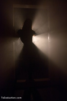 Photo number 0 from The Wrong Man But Any Hole will Do...Introducing Tiffany Star shot for Kink Trans on Kink.com. Featuring Tiffany Starr and Michael Bridalveil in hardcore BDSM & Fetish porn.