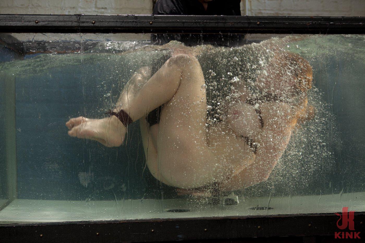 Photo number 10 from Water, Bondage, Screams, Orgasms and Big Wet Titties shot for Water Bondage on Kink.com. Featuring Dee Williams in hardcore BDSM & Fetish porn.