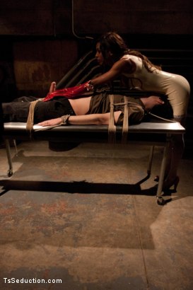 Photo number 0 from Submit, it Will Go A lot Smoother: Ts Natassia Dreams is BACK shot for Kink Trans on Kink.com. Featuring Natassia Dreams and Chris Ockham in hardcore BDSM & Fetish porn.