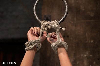 Photo number 3 from 19yr with long sexy legs is bound helpless, & uncomfortable. Nipple torment, flogging & made to cum! shot for Hogtied on Kink.com. Featuring Cassandra Nix in hardcore BDSM & Fetish porn.