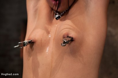 Photo number 5 from 19yr with long sexy legs is bound helpless, & uncomfortable. Nipple torment, flogging & made to cum! shot for Hogtied on Kink.com. Featuring Cassandra Nix in hardcore BDSM & Fetish porn.