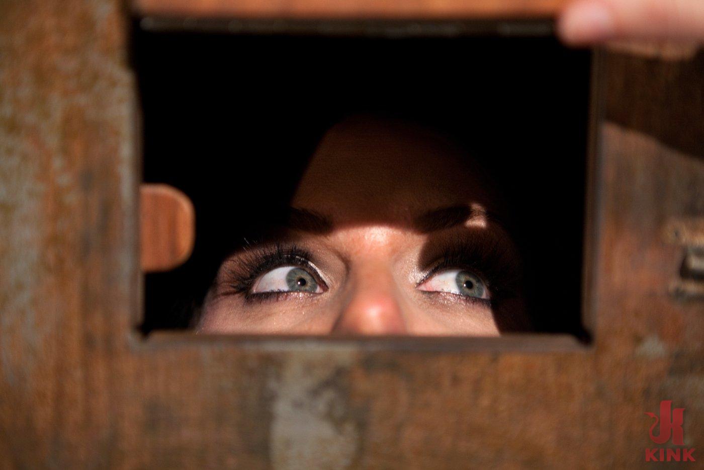 Photo number 13 from From the Vault - Aiden Starr  and Phoenix Marie shot for Device Bondage on Kink.com. Featuring Phoenix Marie in hardcore BDSM & Fetish porn.