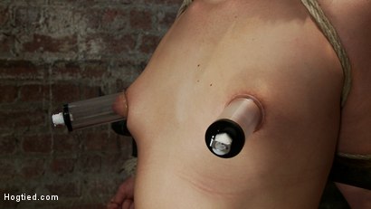 Photo number 6 from Ashli has her huge puffy nipples tormented, is made to cum & skull fucked Takes a great body flogging shot for Hogtied on Kink.com. Featuring Ashli  Orion in hardcore BDSM & Fetish porn.