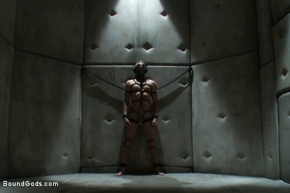 Photo number 7 from Hot New Sub Drake Temple shot for Bound Gods on Kink.com. Featuring Drake Temple and Josh West in hardcore BDSM & Fetish porn.