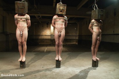 Photo number 3 from Slave Auction - Live Shoot shot for Bound Gods on Kink.com. Featuring Dylan Deap, Spencer Reed, Van Darkholme, Sebastian Keys and Tyler Alexander in hardcore BDSM & Fetish porn.