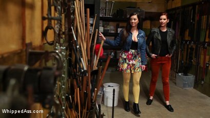 Photo number 10 from Penthouse Pet of the Year, Taylor Vixen, is The Whipped Ass Girl of the Month!  Here's a taste shot for Whipped Ass on Kink.com. Featuring Taylor Vixen in hardcore BDSM & Fetish porn.