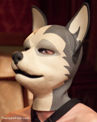 Minx Grrl BDSM - Brunette