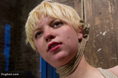 Photo number 9 from Welcome Alani Pi to HogTied shot for Hogtied on Kink.com. Featuring Alani Pi in hardcore BDSM & Fetish porn.