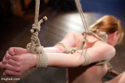 Photo number 2 from Marie McCray shot for Hogtied on Kink.com. Featuring Marie McCray in hardcore BDSM & Fetish porn.