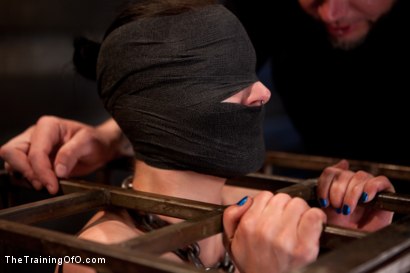 Photo number 1 from Training Katherine Kane Day 2 shot for The Training Of O on Kink.com. Featuring Katharine Cane and The Pope in hardcore BDSM & Fetish porn.