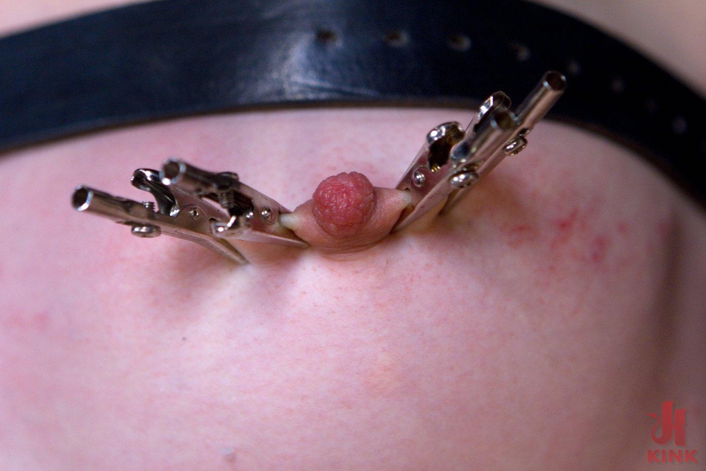 Photo number 4 from Sarah Shevon Suffers - Live Show Part 2 shot for Device Bondage on Kink.com. Featuring Sarah Shevon in hardcore BDSM & Fetish porn.