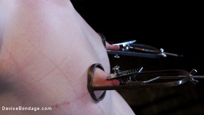 Photo number 7 from Sarah Shevon Suffers - Live Show Part 3 shot for Device Bondage on Kink.com. Featuring Sarah Shevon in hardcore BDSM & Fetish porn.
