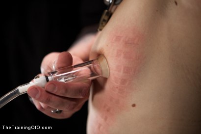 Photo number 7 from Training Chastity Lynn-Day 2 shot for The Training Of O on Kink.com. Featuring Chastity Lynn in hardcore BDSM & Fetish porn.