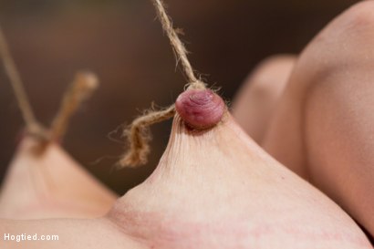 Photo number 10 from Audrey Rose Challenged with Tough Beam Bondage shot for Hogtied on Kink.com. Featuring Audrey Rose in hardcore BDSM & Fetish porn.