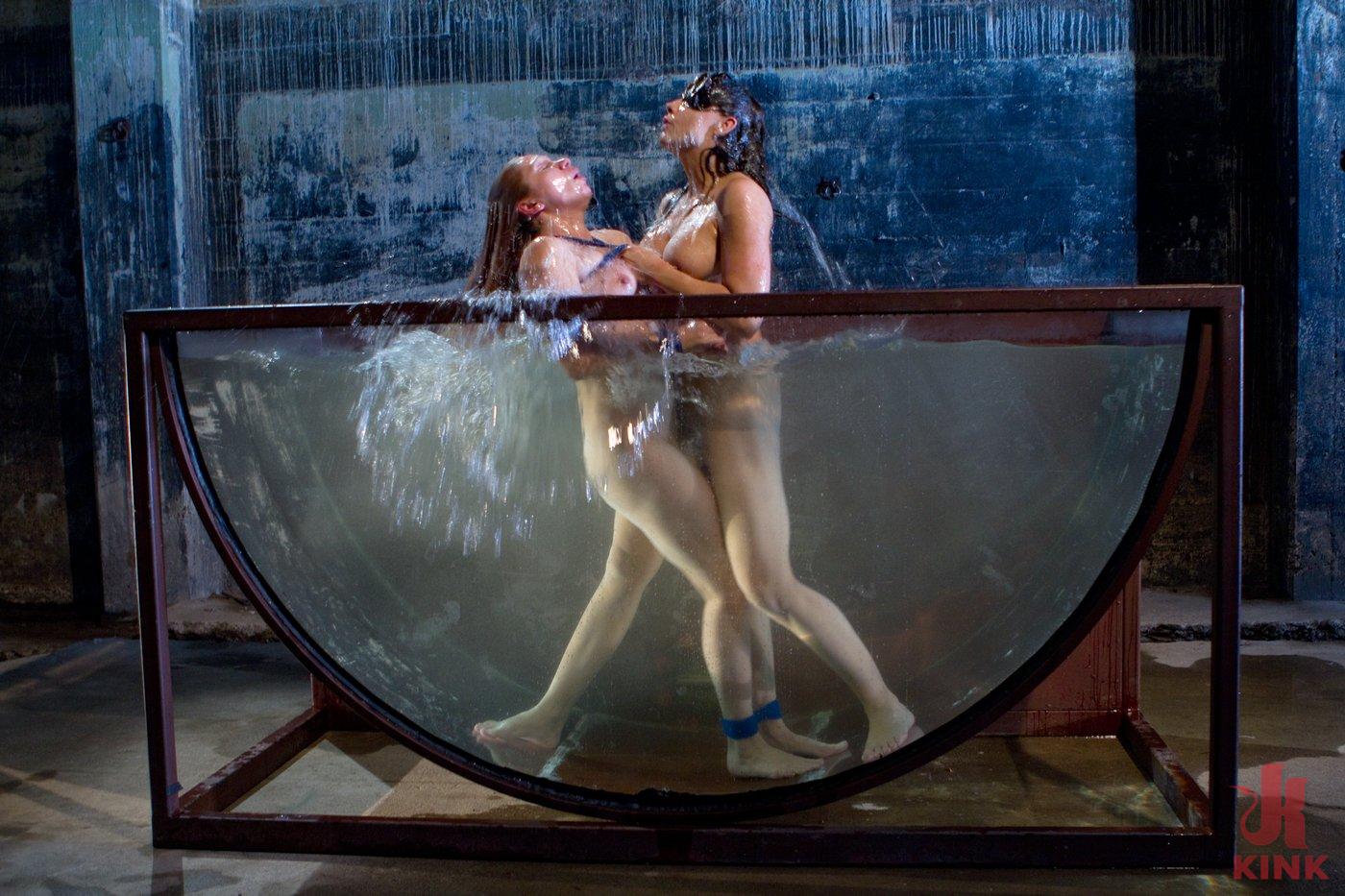 Photo number 12 from Part 3: The Tank shot for Water Bondage on Kink.com. Featuring Phoenix Marie, Chanel Preston, Lea Lexis and Bobbi Starr in hardcore BDSM & Fetish porn.